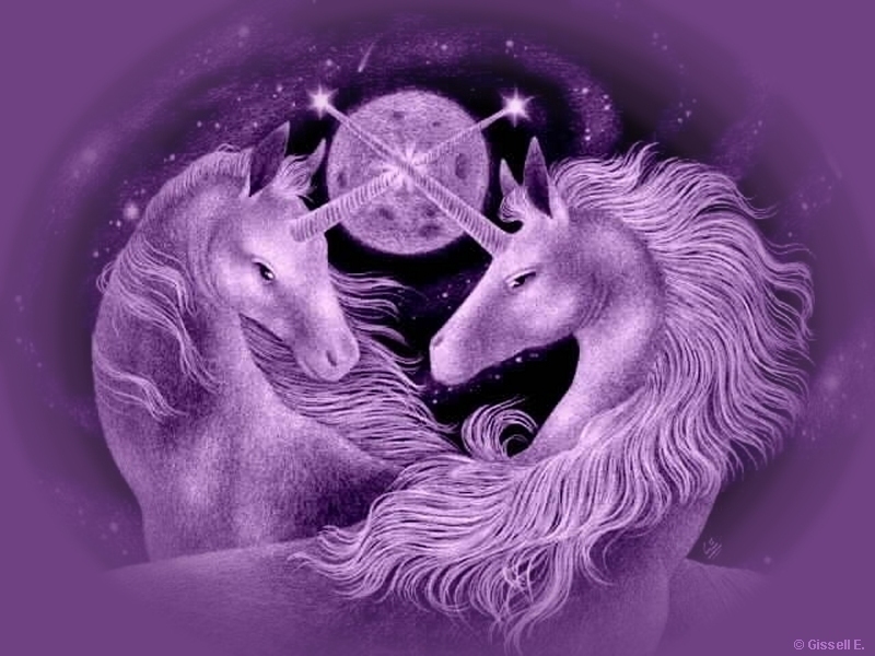 Csodal�nyek port�lja